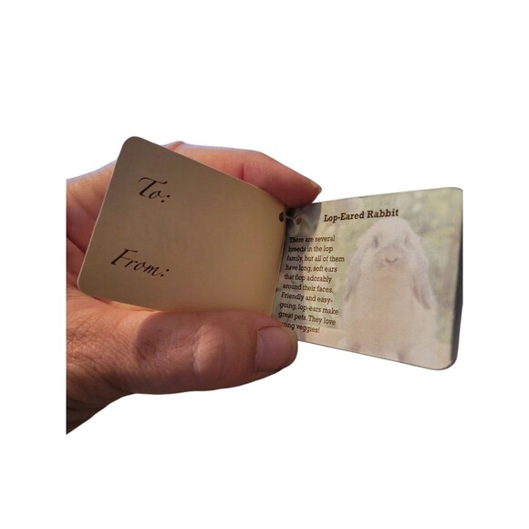 NWT Miyoni by Aurora Lop-Eared Cotton Tailed Bunny Rabbit Plush Stuffed Animal 5 - Picture 10 of 10